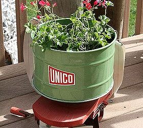 planting in unusual containers, container gardening, gardening, Spreading ivy geraniums