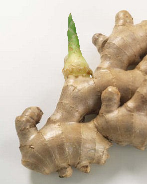 fun garden project for kids grow your own ginger, gardening