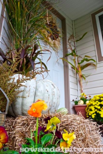 heirloom front porch display, seasonal holiday d cor, thanksgiving decorations, wreaths