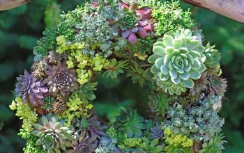 Learn How to Make a Succulent Wreath