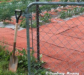 Our Carpeted Garden Hometalk