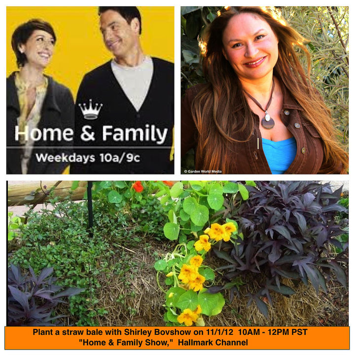 watch shirley bovshow edenmaker on home and family show this week, Learn how to repurpose a straw bale as a raised planter for herbs and greens Home and Family Show guest Shirley Bovshow EdenMaker