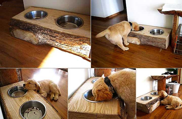 creative dog bowls diy, diy, pets animals, woodworking projects