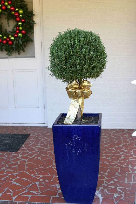 looking for an easy way to dress up your front porch for the holidays and beyond i, curb appeal, outdoor living, porches, Rosemary topiary