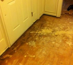 my fiance a huge diy er and i replaced the carpet with real hardwood floors this, flooring, hardwood floors, living room ideas, Rotten Subfloor Later repaired by the fiance