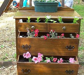 flower chest of drawers with granddaughter, flowers, gardening, repurposing upcycling, This is the finished product but it wouldnt let me move it to the bottom for some reason