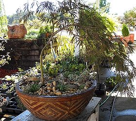 pot rambling, container gardening, flowers, gardening, hydrangea, perennials, Used Pea Gravel for a mulch in this pot along with some bigger rocks to give a landscaped appearance