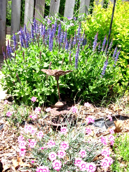 perennial gardens, flowers, gardening, perennials