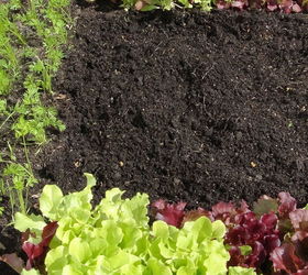 may garden makeover, gardening, raised garden beds, Check the soil Did you use too much or too little fertilizer the first time around Any pests or defects