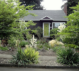 seven garden giveaways in support of smaller lawns, flowers, gardening, Danger Garden s front yard after the lawn came out