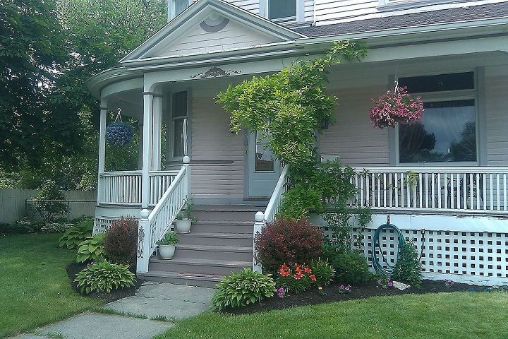 nervous about cutting my climbers for painting, Wisteria at the front of the house why can t I find the pics of them in bloom