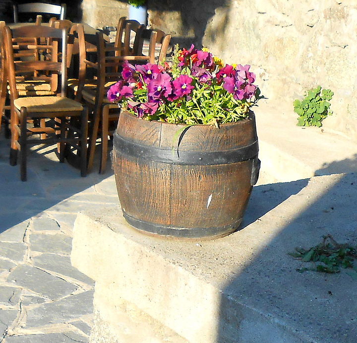 flower ideas for barrel pots and planters, flowers, gardening, repurposing upcycling, purple pansies