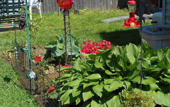  Desenvolva um jardim vermelho ao redor do Hosta de longa duração.
