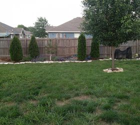 q backyard help needed, gardening, landscape, 3 years ago I started planting some Emerald Greens to provide more privacy from the neighbors closest to me A couple of evergreens have died and will plant more ASAP 2 Blueberry plants are on the far right