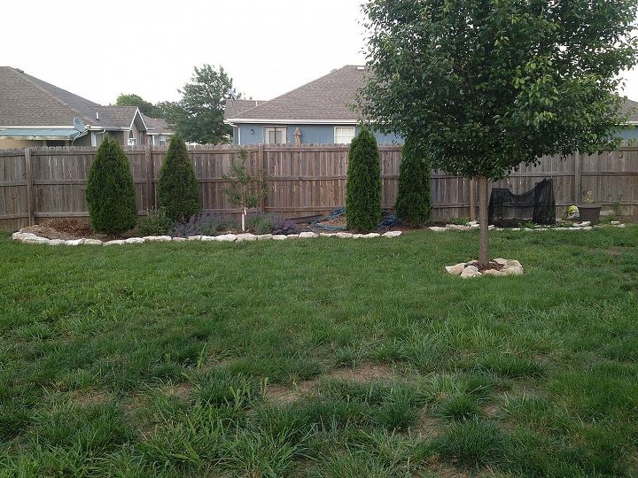 q backyard help needed, gardening, landscape, 3 years ago I started planting some Emerald Greens to provide more privacy from the neighbors closest to me A couple of evergreens have died and will plant more ASAP 2 Blueberry plants are on the far right