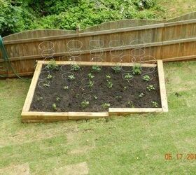 vegetable garden, gardening, lawn care
