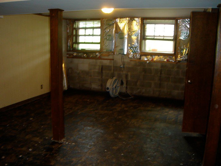 basement remodel, basement ideas, home improvement, paneling insulation everything had to go on the south wall but the cement blocks 2 layers of floor had to go too baseboards 1 4 round had to be replaced