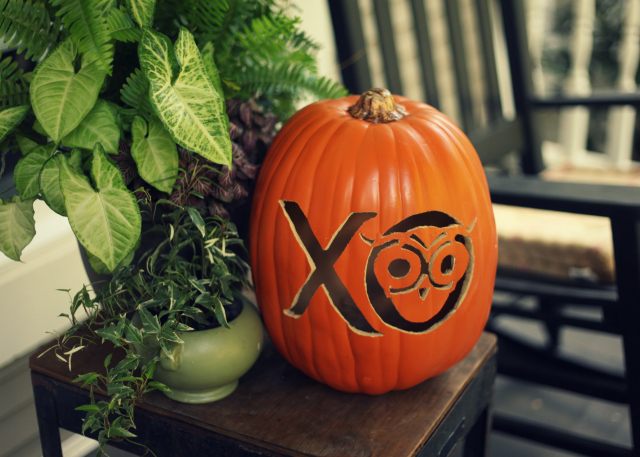 a funkin pumpkin chi o style, crafts, seasonal holiday decor, Funkins are great to add your special touch to carve your favorite team school or even kids silhouette Then you can reuse it year after year