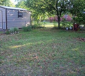 80 weeds in backyard what to do, weeds minimal grass