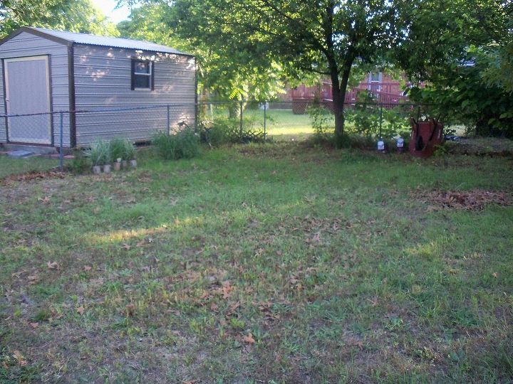 80 weeds in backyard what to do, weeds minimal grass