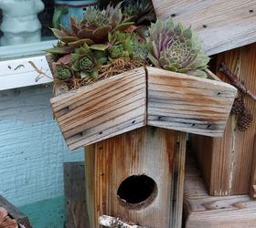 birdhouses, diy, gardening, outdoor living, pets animals, woodworking projects, It was our first one with a garden roof