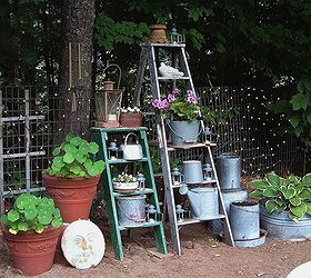 old ladders reach new heights in the garden, gardening, repurposing upcycling, Di Ellen Davenport