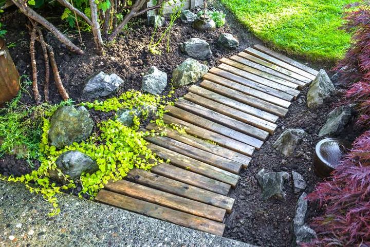 my beautiful blooming august garden that didn t die, flowers, gardening, outdoor living, This little pallet wood walkway looks right smart with a little bit of creeping charlie to keep it company