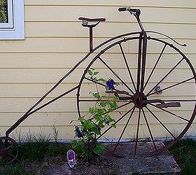 gardening, gardening, repurposing upcycling, We have a friend who owned a junkyard He s also an artist and he built this vintage bicycle for us out of scrap parts and pieces Our Clematis is beginning to climb the wheel