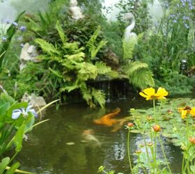 hide aways for fish but useful for us, outdoor living, pets animals, ponds water features, natural waterfall filtered though plants