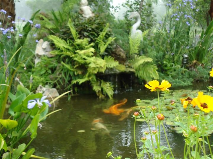 hide aways for fish but useful for us, outdoor living, pets animals, ponds water features, natural waterfall filtered though plants