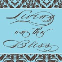 living on the bliss blog becomes a retail store, Our new button