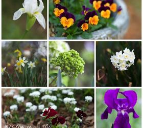 ¡La primavera! Lo que está creciendo y las tareas de jardín de marzo