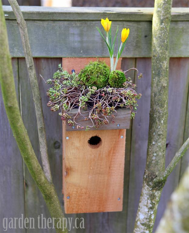 charming birds to your garden, crafts, gardening, pets animals, DIY Green Roof Birdhouse tutorial Garden Therapy see the post