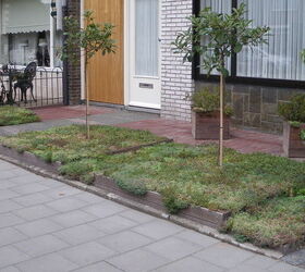 hans pardoel gardens, gardening, Frontyard with leveled plantbeds of sedum and Photinia Red Robin solitairy placed