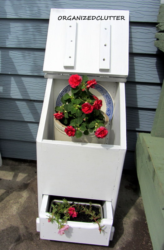 a re purposed country potato amp onion bin, container gardening, gardening, repurposing upcycling, The bottom drawer has a small aluminum loaf pan planted with moss roses
