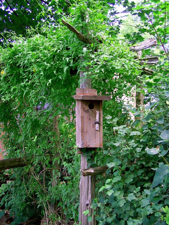 10 timas maneiras de exibir casas de pssaros em seu jardim