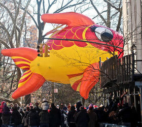 id needed re characters in entertainment, seasonal holiday d cor, thanksgiving decorations, An unidentified fish marches swims out of water in Macy s 2013 Thanksgiving Parade View Seven at CPW Image featured