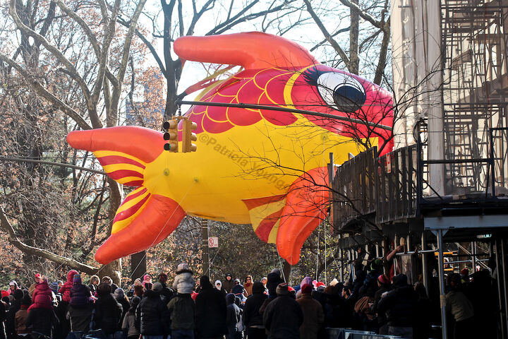 id needed re characters in entertainment, seasonal holiday d cor, thanksgiving decorations, An unidentified fish marches swims out of water in Macy s 2013 Thanksgiving Parade View Seven at CPW Image featured