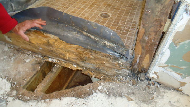 good example of a failing shower due to incorrect installation and having to do it, home improvement, The curb was completely rotted away the floor was rotted through and mold had started to grow