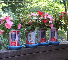 patriotic plants for a fourth of july party patriotic urbanliving, container gardening, flowers, gardening, patriotic decor ideas, seasonal holiday d cor, Yes I put this together a few years ago for a client s 4th of July party using Budweiser beer cans and Impatiens which sadly we should not be using due to downy mildew disease So use red geraniums instead
