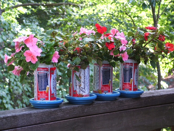 patriotic plants for a fourth of july party patriotic urbanliving, container gardening, flowers, gardening, patriotic decor ideas, seasonal holiday d cor, Yes I put this together a few years ago for a client s 4th of July party using Budweiser beer cans and Impatiens which sadly we should not be using due to downy mildew disease So use red geraniums instead
