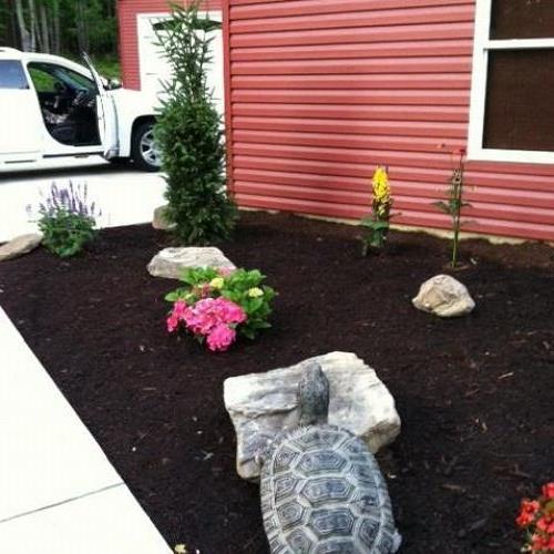 landscaping, flowers, gardening, Love all the different color flowers