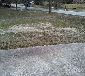 when it rains the grass and top layer of dirt disappear need help in getting it, gardening, landscape, The lawn has decreased 4 6 below the driveway which needs to be repalced as well