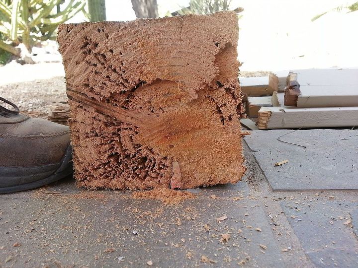can i fight subterranean termites by myself, pest control