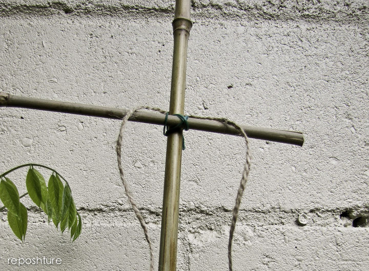 diy bamboo trellis, gardening, Attach cross bars with twist tie first
