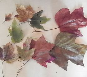 easy to make pallet yard art, crafts, pallet, seasonal holiday decor, First I went out into my Yard and Collected some Leaves in Different Shapes sizes and colors