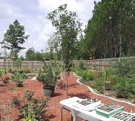 our garden, gardening, landscape, outdoor living