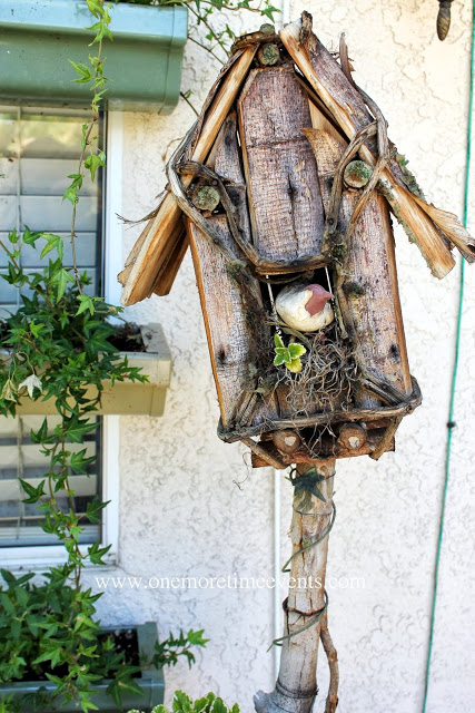 bird house and how to make a succulent nest, flowers, gardening, outdoor living, succulents