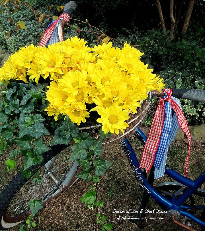fall is in the air, flowers, gardening, seasonal holiday d cor, wreaths, Fall Bike Planter