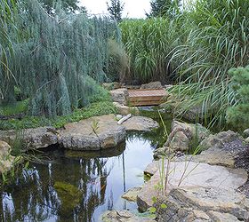 pond and waterfall in suburban chicago, gardening, outdoor living, ponds water features, A wooden bridge invites visitors to explore further